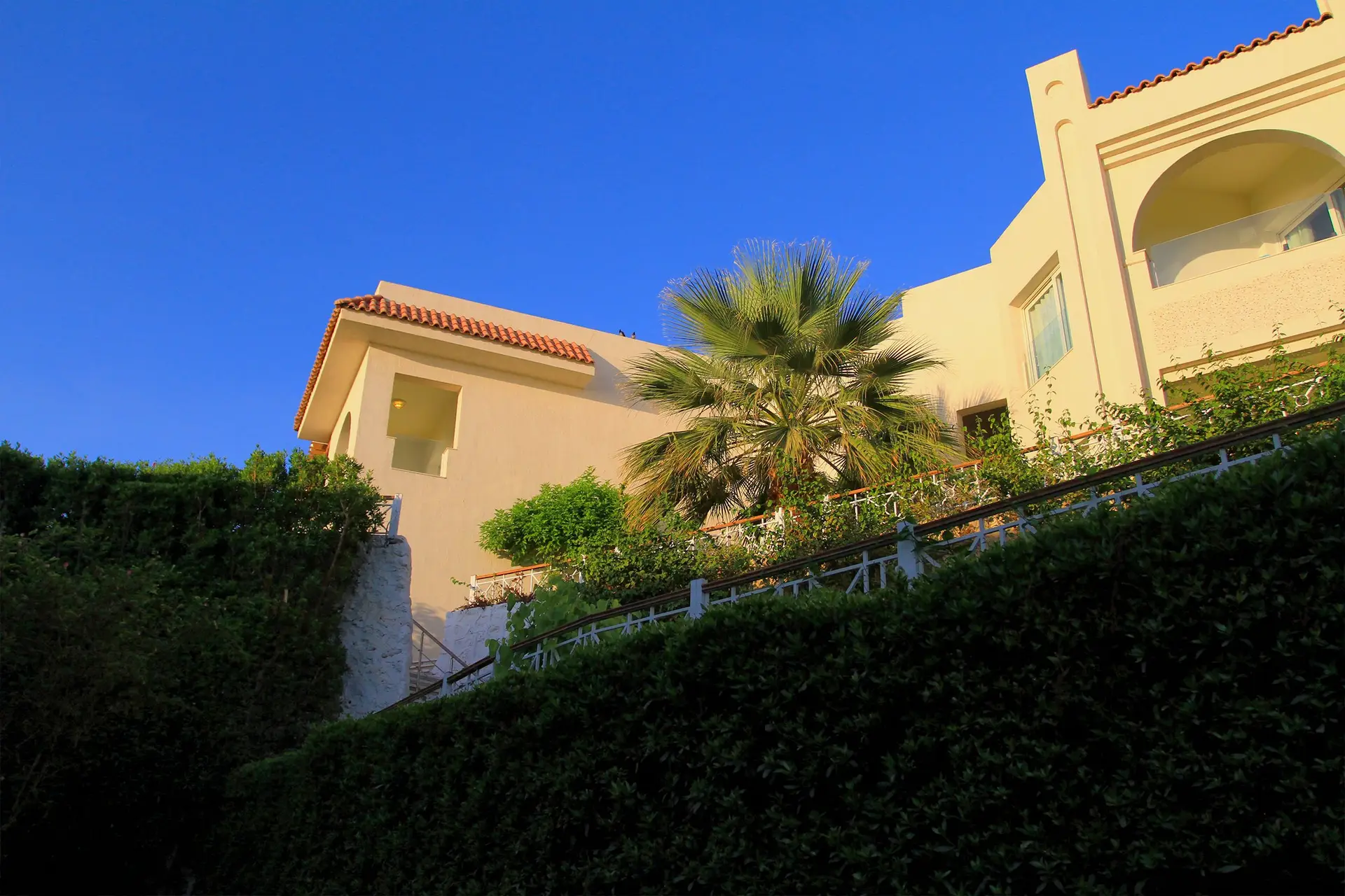 Mediterrán kert